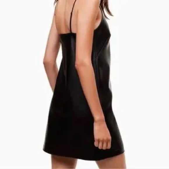 Aritzia Talula Vegan Leather Mini Dress - Picture 2 of 7
